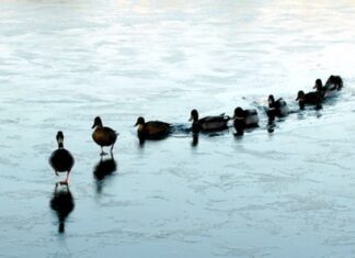 4 lời khuyên cho khởi động chiến dịch AdWords