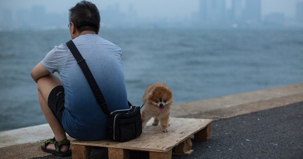 Hong Kong ngày nay: Ganh đua khốc liệt, giới trẻ ‘mất hứng’ với việc kết hôn