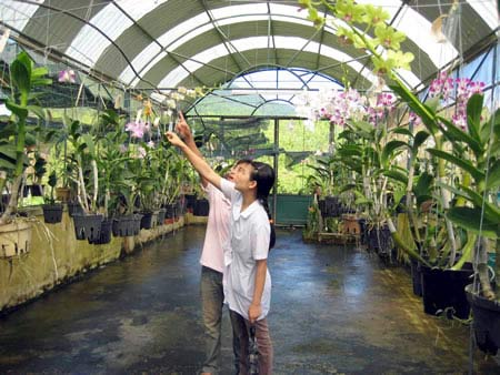 Những nông dân kiếm bạc tỷ mỗi năm