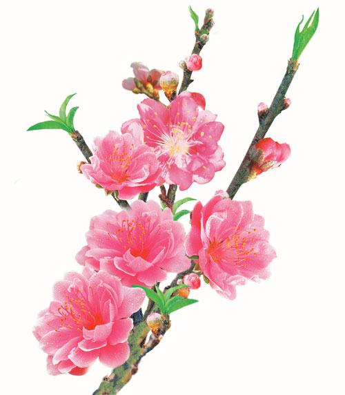 Chúc mừng MISA 20 tuổi!
