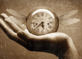 20 phút mỗi ngày