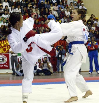 Lãnh đạo theo kiểu judo và karate