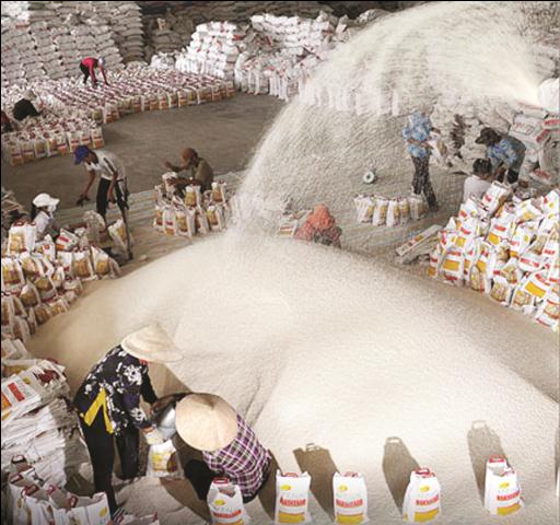 Năm 2013, xuất khẩu gạo chỉ đạt được 6,61 triệu tấn