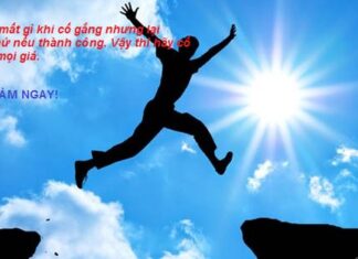 Chuyện tối thứ 4: Nếu là Cừu, bạn chọn sống chung với Sói hay Sư Tử?