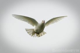 Nhẹ