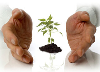 Tiền bạc có giữ chân được người tài?