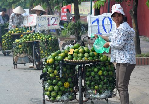 Kinh doanh thực phẩm bẩn: Người Việt đang “giết” nhau