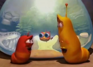 Ấu trùng Larva – Lacquario