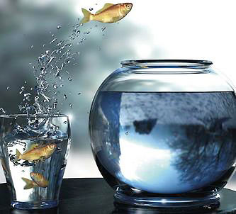 Những lý do để bạn thay đổi công việc