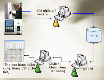 “Mắt thần” của sếp nằm ở đâu?