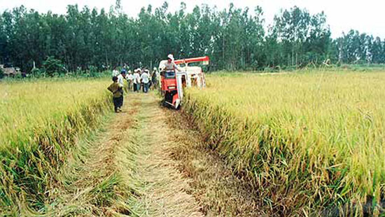 Bà ba Sương: Gian nan làm lại