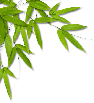 Từ lũy tre xanh