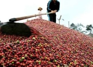 Bị cấm vận: Nga cầu cứu nhập nông sản, thủy sản Việt Nam