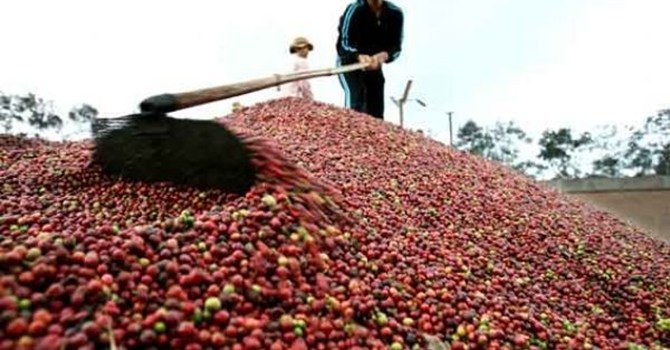 Bị cấm vận: Nga cầu cứu nhập nông sản, thủy sản Việt Nam