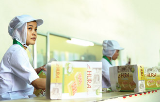 Bibica có thể sẽ giống Tribeco