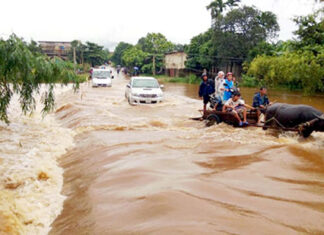 Biến đổi khí hậu và cơ hội kinh doanh