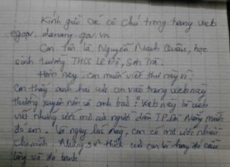 Bức thư của học sinh cấp 2 khiến Đà Nẵng chi 80 triệu đồng lắp đèn công viên