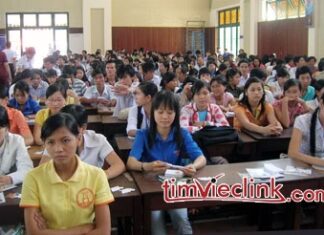 Các nhà tuyển dụng cần gì khi bạn ra trường
