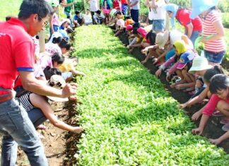 Cần rèn luyện kỹ năng sống cho học sinh vào dịp hè