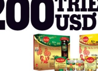 Canh bạc 4.000 tỷ của Yến Việt