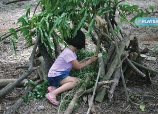 Cho trẻ khám phá thiên nhiên giữa lòng thành phố