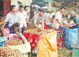 Cơ hội cho các doanh nghiệp dịch vụ chiếu xạ