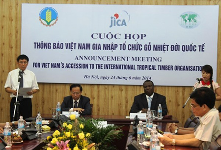 Cơ hội từ ITTO