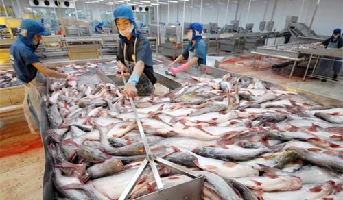 Con đường riêng tìm đối tác chiến lược