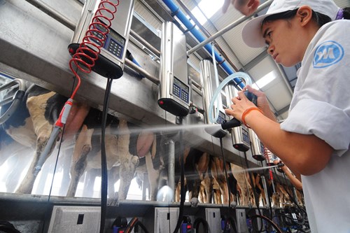 Công nghiệp Sữa Việt Nam: “Giai đoạn ngọt ngào”