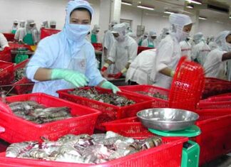 Cổ phiếu thủy sản có khởi sắc?