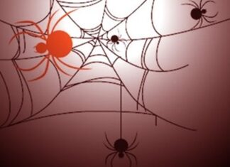 Điểm yếu ngân hàng Việt: Những đánh giá trực diện