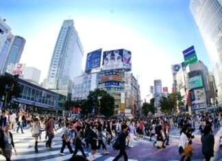 DN Việt dưới góc nhìn của chuyên gia Nhật Bản