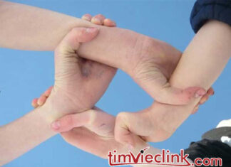 Xây dựng đội ngũ thành công