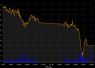 Giới đầu tư ồ ạt “xả hàng”, VN-Index lao dốc mất gần 13 điểm