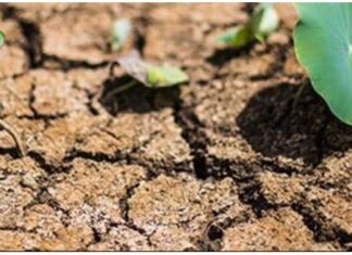 Kinh tế Việt Nam vẫn duy trì đà tăng trưởng dù bị hạn hán tấn công