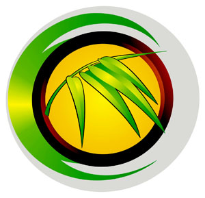 Giải đáp thắc mắc về MISA Bamboo.NET 2008