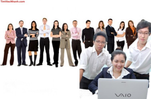 Phân loại công việc phù hợp với tính cách
