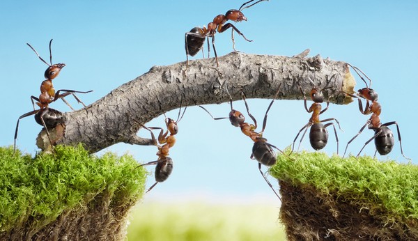Muốn nhân viên gắn kết với tổ chức, hãy mang lại cho họ 4 điều sau