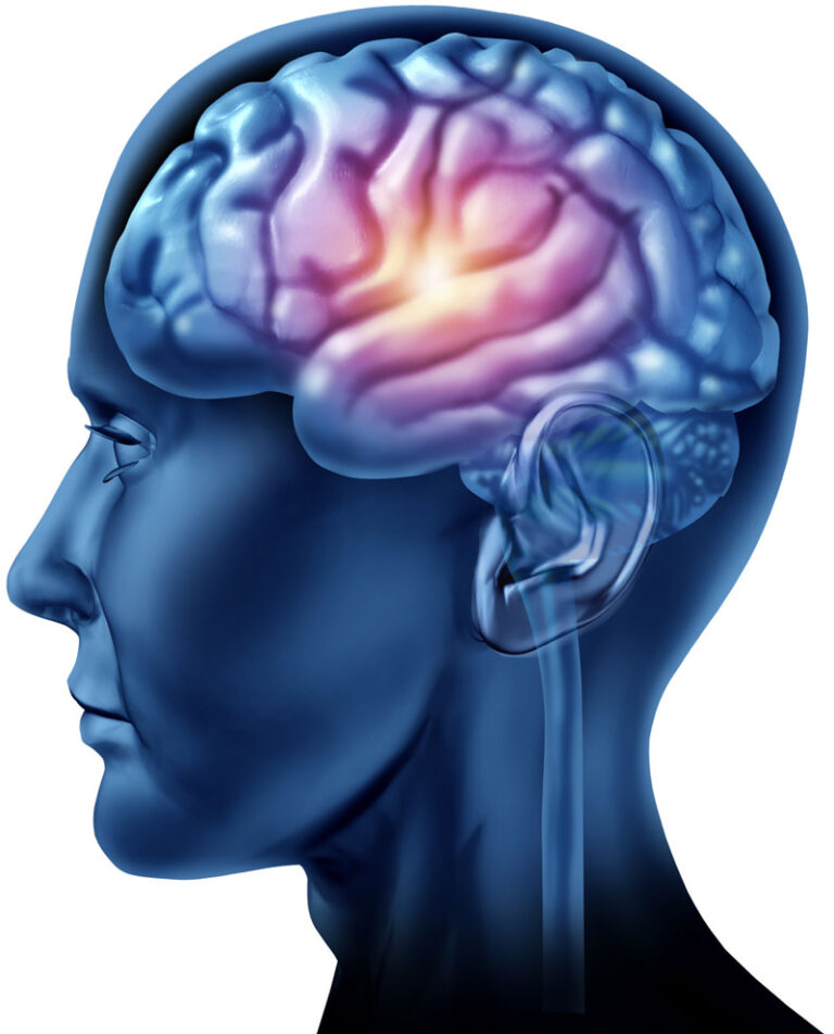 Sự thật nằm sau bộ não thiên tài của Albert Einstein
