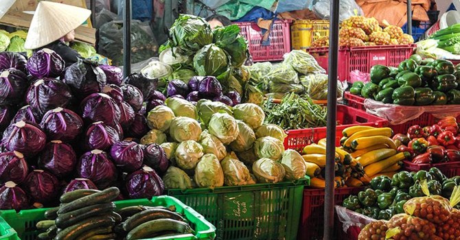 Sản phẩm từ Việt Nam được Nga “bật đèn xanh”