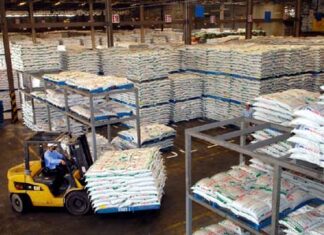 Ngành thức ăn chăn nuôi: Thuận lợi dịp cuối năm