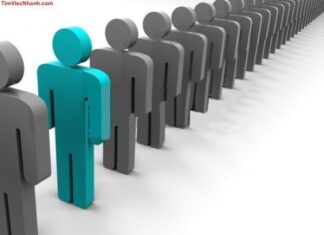 Xây dựng và tổ chức nhóm làm việc hiệu quả