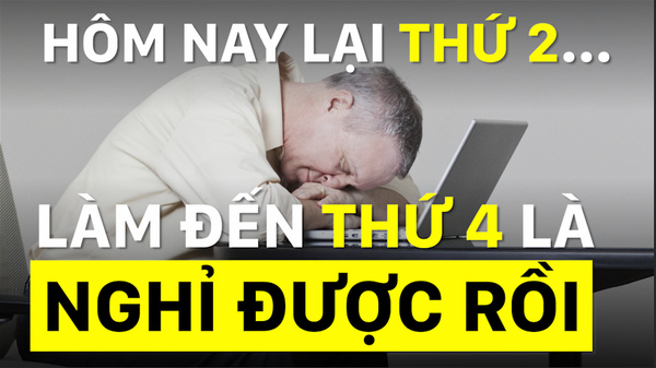 Nghiên cứu chỉ ra làm việc 25 giờ/tuần là đủ