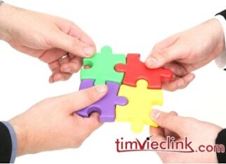 Nhà tuyển dụng cần gì ở các ứng viên?