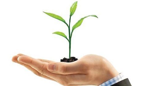 Khát vọng thương hiệu Việt toàn cầu