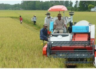 Nông nghiệp công nghệ cao hấp dẫn nhiều doanh nghiệp