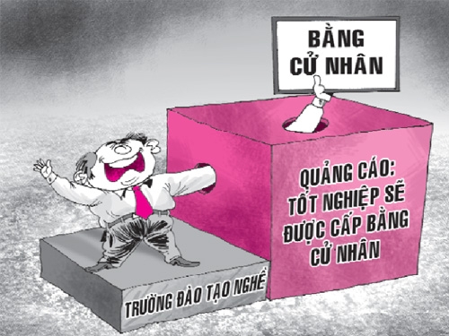 Đào tạo nghề lại cấp bằng cử nhân