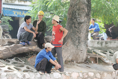 Lao động thời vụ với nhiều nỗi lo