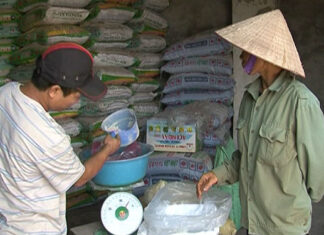 Cạnh tranh phân bón