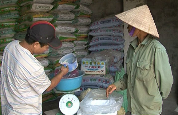 Cạnh tranh phân bón